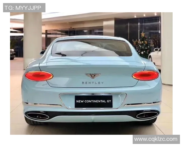 探索格里高利B65的独特魅力与实用性分析