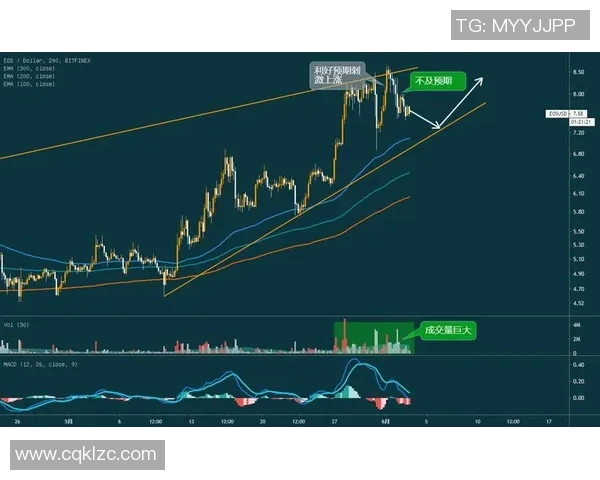 骑士与热火激战11月29日赛场精彩瞬间回顾与分析